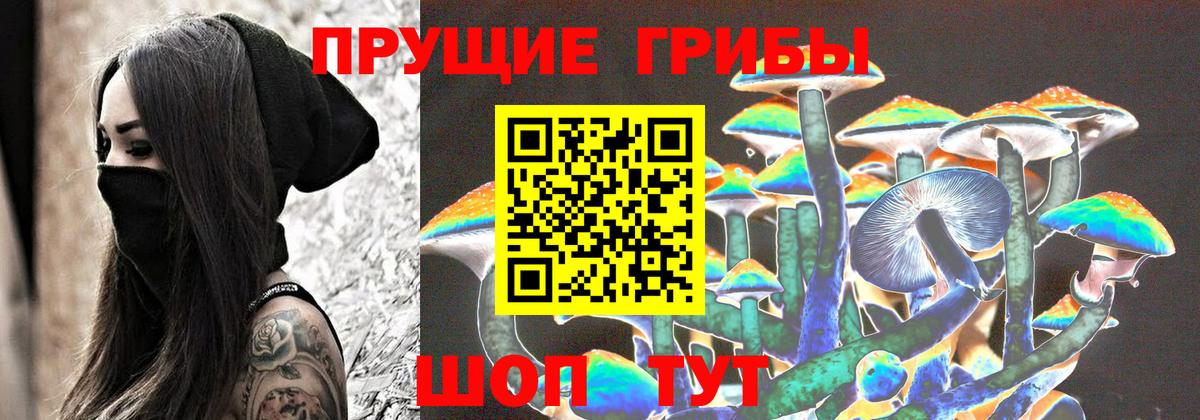 Псилоцибиновые грибы мухоморы Донской