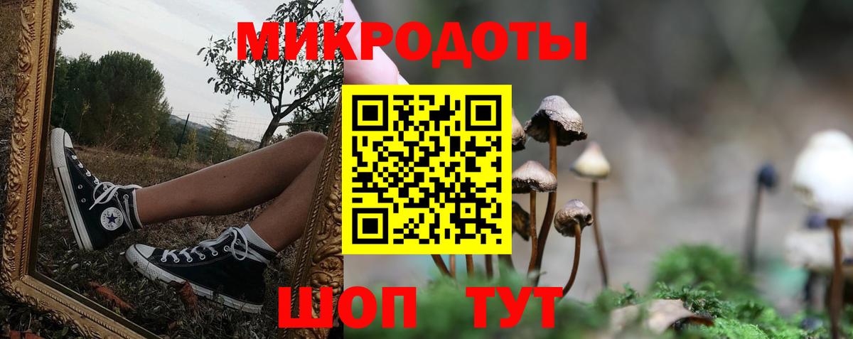 Донской  Галлюциногенные грибы MAGIC MUSHROOMS  купить  сайты  Вход с VPN 